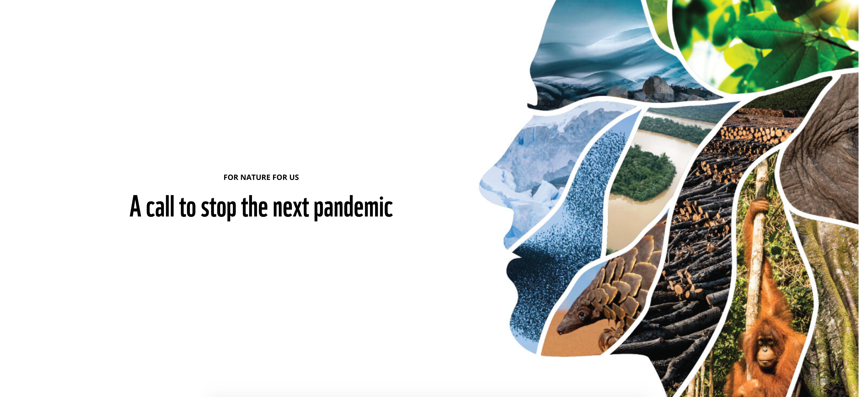 WWF Pandemics banner