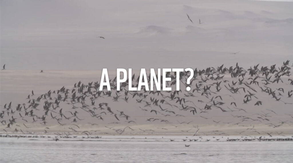 A planet? Image with birds
